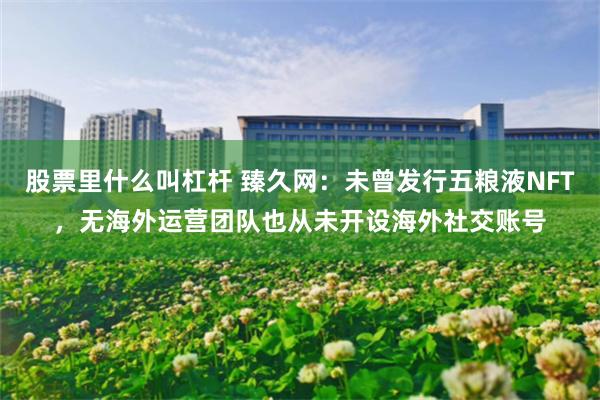 股票里什么叫杠杆 臻久网：未曾发行五粮液NFT，无海外运营团队也从未开设海外社交账号