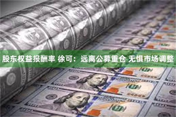 股东权益报酬率 徐可：远离公募重仓 无惧市场调整