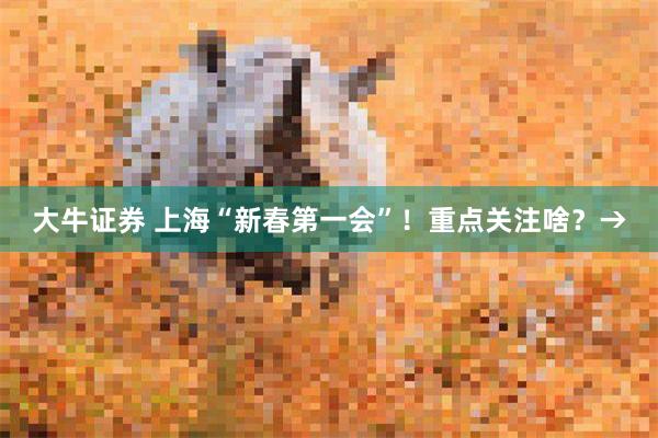 大牛证券 上海“新春第一会”！重点关注啥？→