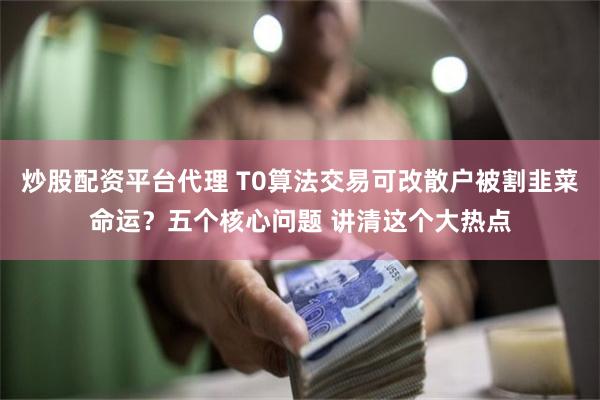 炒股配资平台代理 T0算法交易可改散户被割韭菜命运？五个核心问题 讲清这个大热点