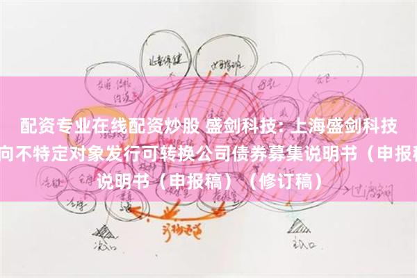 配资专业在线配资炒股 盛剑科技: 上海盛剑科技股份有限公司向不特定对象发行可转换公司债券募集说明书(申报稿)(修订稿)