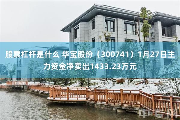 股票杠杆是什么 华宝股份（300741）1月27日主力资金净卖出1433.23万元