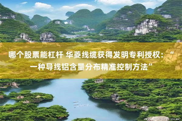 哪个股票能杠杆 华菱线缆获得发明专利授权：“一种导线铝含量分布精准控制方法”