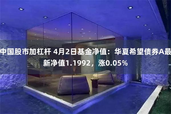 中国股市加杠杆 4月2日基金净值：华夏希望债券A最新净值1.1992，涨0.05%