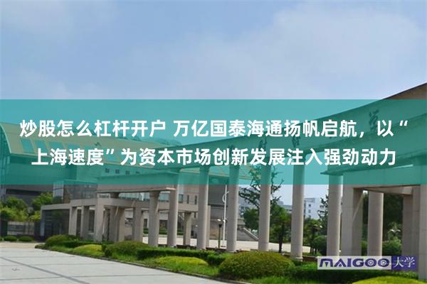 炒股怎么杠杆开户 万亿国泰海通扬帆启航，以“上海速度”为资本市场创新发展注入强劲动力