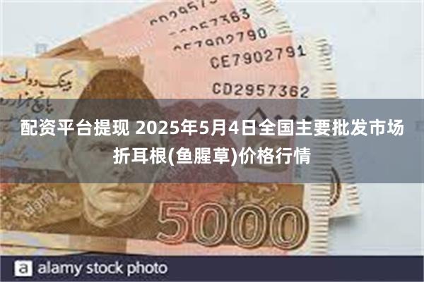 配资平台提现 2025年5月4日全国主要批发市场折耳根(鱼腥草)价格行情