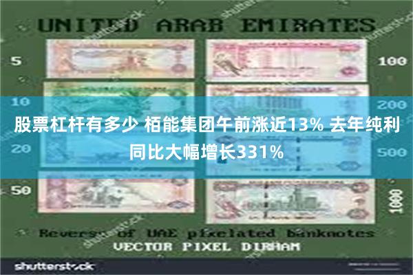 股票杠杆有多少 栢能集团午前涨近13% 去年纯利同比大幅增长331%