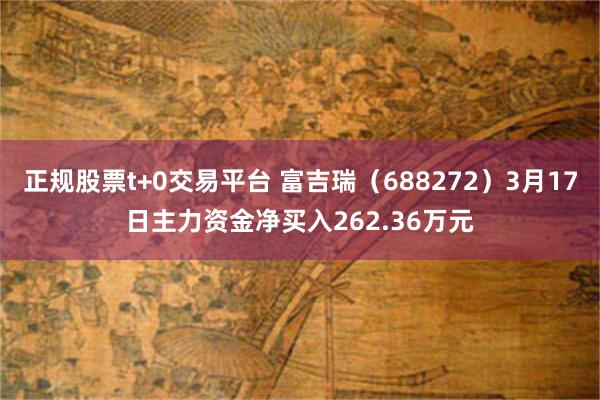 正规股票t+0交易平台 富吉瑞（688272）3月17日主力资金净买入262.36万元