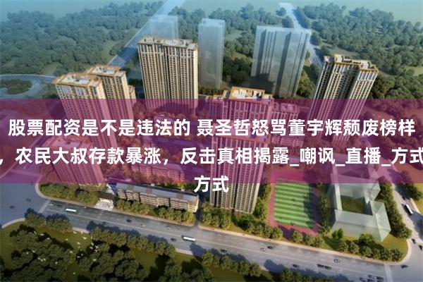 股票配资是不是违法的 聂圣哲怒骂董宇辉颓废榜样，农民大叔存款暴涨，反击真相揭露_嘲讽_直播_方式
