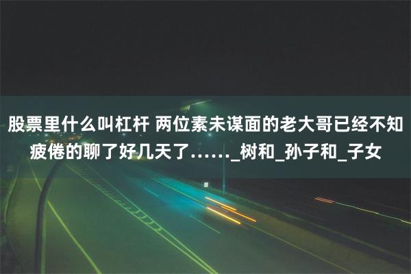 股票里什么叫杠杆 两位素未谋面的老大哥已经不知疲倦的聊了好几天了……_树和_孙子和_子女