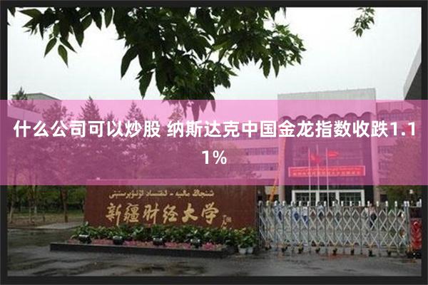 什么公司可以炒股 纳斯达克中国金龙指数收跌1.11%