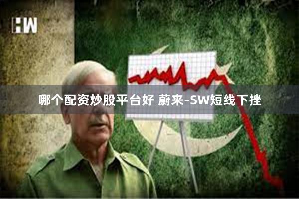 哪个配资炒股平台好 蔚来-SW短线下挫