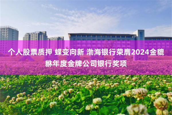 个人股票质押 蝶变向新 渤海银行荣膺2024金貔貅年度金牌公司银行奖项